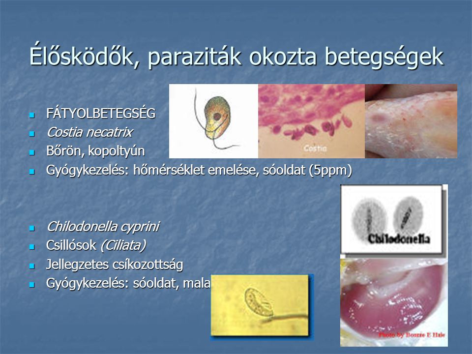 paraziták által okozott táplálkozási betegségek)